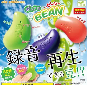 보이레코 빈 전 3종 세트