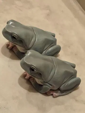 큰 이아메가엘 그레이