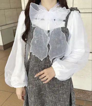 쉬폰 볼륨 슬리브 블라우스
