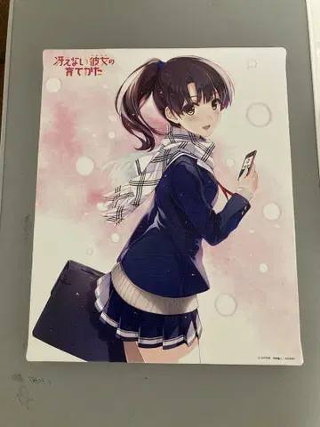 지루한 그녀를 키우는 방법 카토 메구미 캔버스 보드