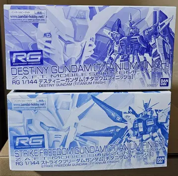RG 데스티니 건담 스트라이크 프리덤 건담 티타늄 피니쉬