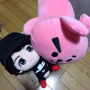 정국 봉제 인형