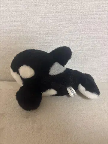 오징어 봉제 인형 나고야 항 수족관 한정판