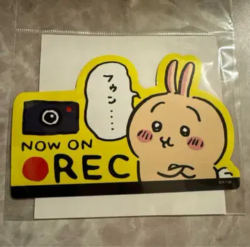 레어 치이카와 (먼작귀) 토끼 엔조이 드라이브!
