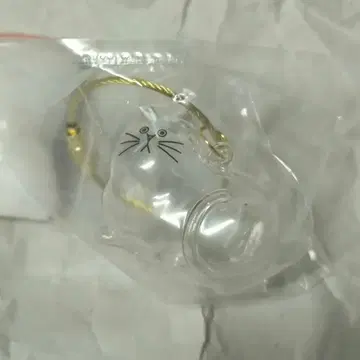 노멀 우리 아이의 캣타마