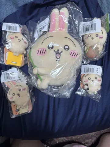 5종 세트] 토끼가 가득한 복권