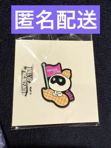 BTS JIN PINS CHIBA 치바 핀즈