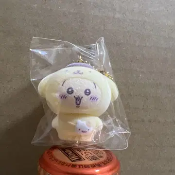 치이카와 산리오 캐릭터즈 토끼