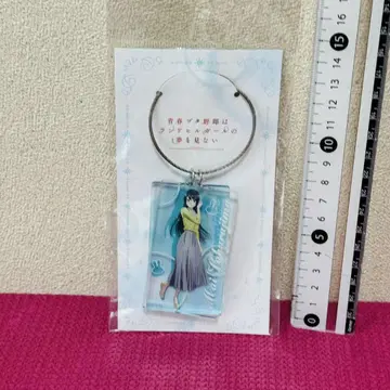 청춘 돼지들은 란도셀 걸의 꿈을 꾸지 않는다 아크릴 참 사쿠라지마 마이