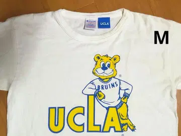챔피온 반팔 티셔츠 T1011 UCLA M