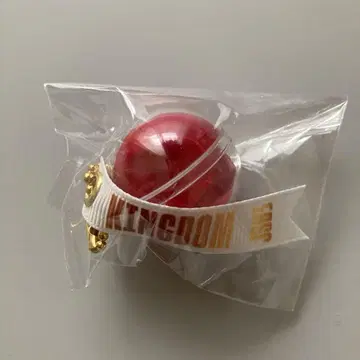 3대째 KINGDOM 이마이치 류지 장미 키링