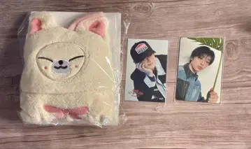 스트레이키즈 아이엔 포크시니