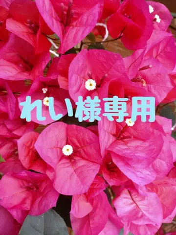 마리아니 MALIANI 속기모 자수 큐빅 크로셰 크롭 청바지