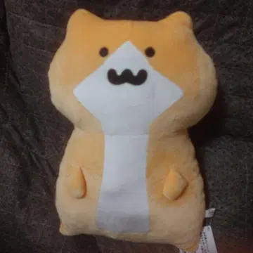 문구와 함께 쫄깃쫄깃 봉제 인형 XL 프리미엄 새끼 고양이