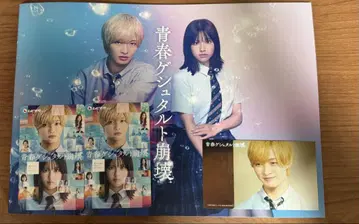청춘 게슈탈트 붕괴 팜플렛