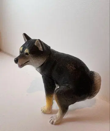 훈바리누 훈바리누 블랙 시바견
