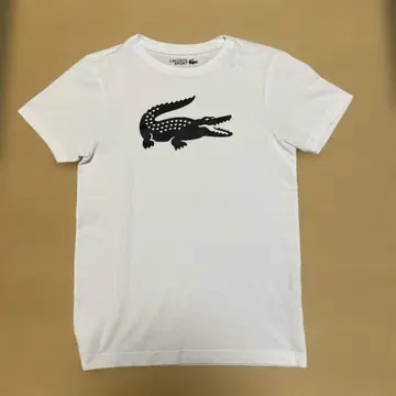 Lacoste 크로커다일 로고 티셔츠 화이트