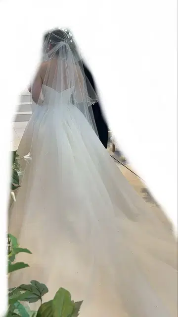 롱 베일 웨딩 2m90cm 화이트