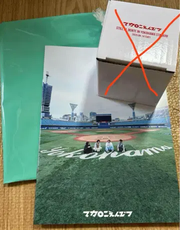 마카로니 연필 10주년 기념 혜택