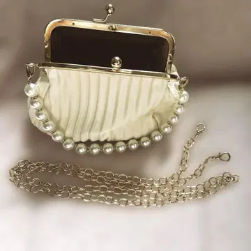 파티 백 2way 펄