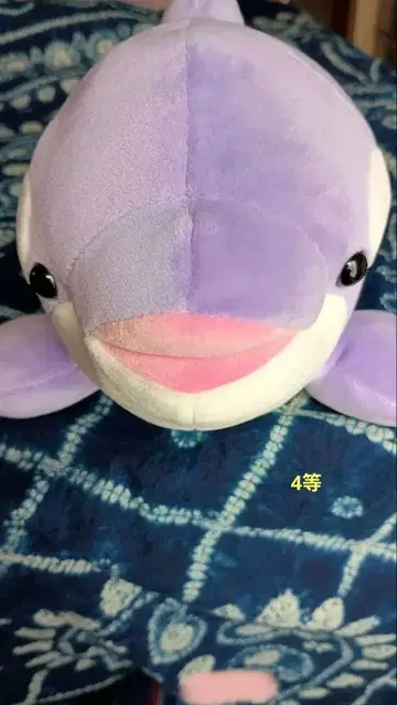 스마 씨월드 오루카 복권 봉제 인형 복권 오루카