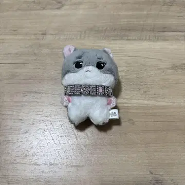 ENHYPEN 히스 마스터 봉제 인형 가죽 스트랩 세트