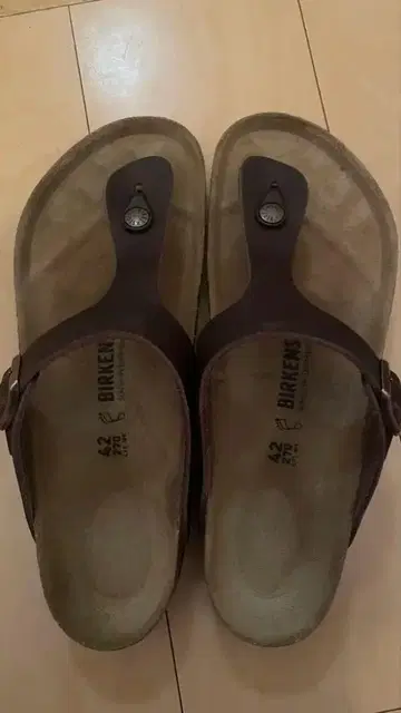 [거의 새 상품] BIRKENSTOCK Gizeh