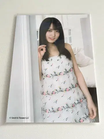Keyakizaka46 스가이 유카 브로마이드