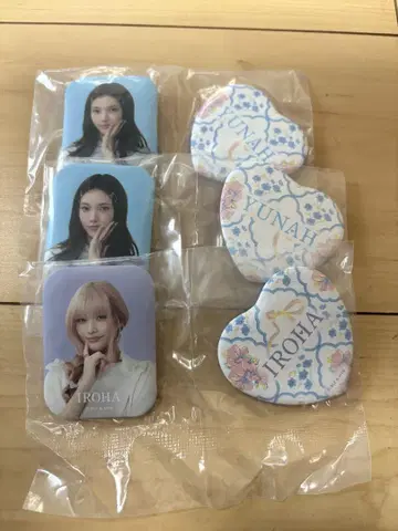 illit 에니마이크지