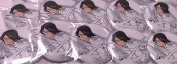 BLEACH EX. 원화전 캔뱃지 이시다 우류 이시다 10점