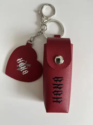 HANA 로고 립 케이스