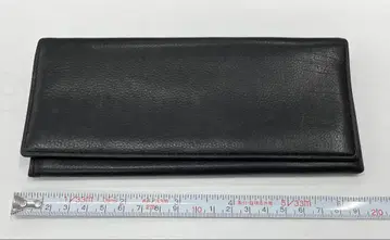 GANZO 블랙 장지갑