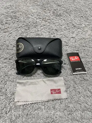 레이밴 Ray-Ban RB4181-601/9A 편광