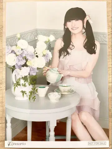 타무라 유카리 Felice 요도바시 카메라 혜택 브로마이드
