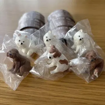 펑바리~누 6종 세트! 토이 푸들, 포메라니안, 잭 러셀 테리어