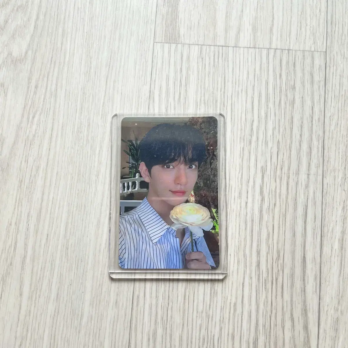 세븐틴 해피엔딩 캐럿반 조슈아 포카 양도