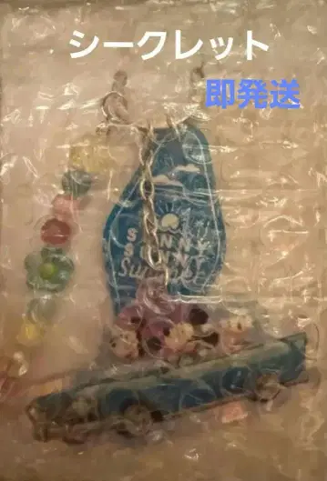 디즈니 써니 써니 썸머 키체인 시크릿 1개