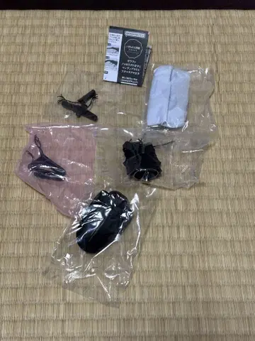 생물 대도감 어드밴스 기라파노코기리 사슴벌레 다이스케
