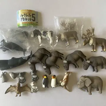 샤쿠레루 플래닛 정리 바바바 버팔로 세트