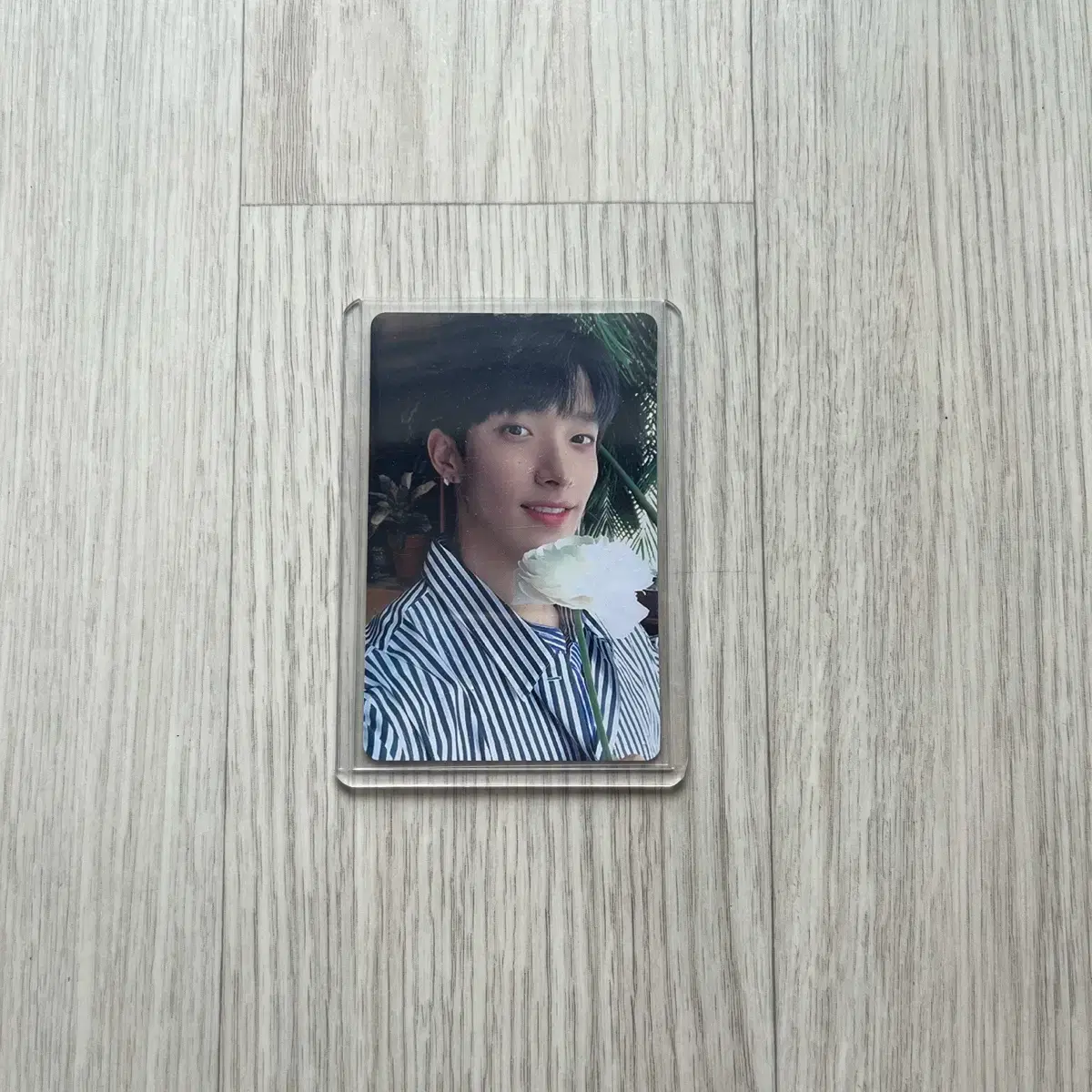 세븐틴 해피엔딩 캐럿반 도겸 포카 양도