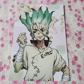 Dr.STONE 마루이 벚꽃 혜택 엽서 이시가미 치쿠사