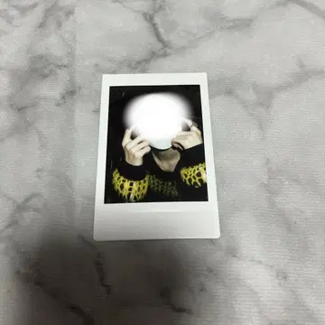 우스이 마사무네 폴라로이드