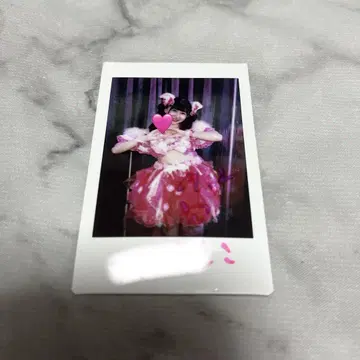 무코 에나 폴라로이드