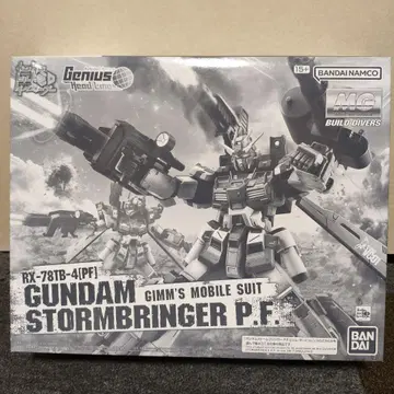 프리미엄 반다이 한정판 MG 1/100 건담 스톰 브링거 P.F.