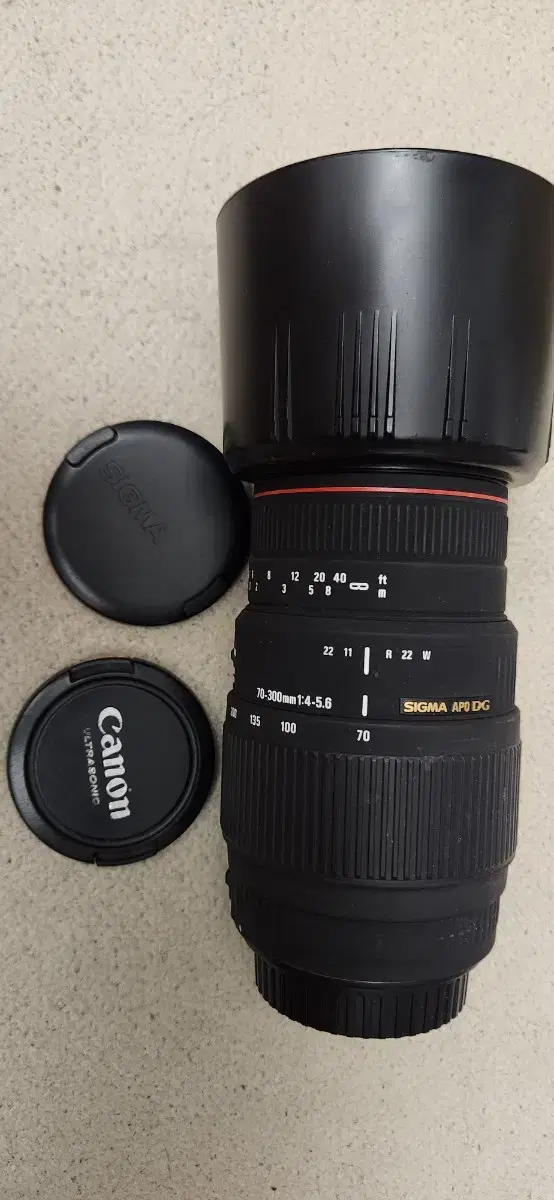 Canon EF Sigma 70-300 DG APO lens