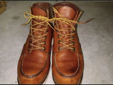 레드윙 REDWING 아이리쉬 세터 875 개 각인