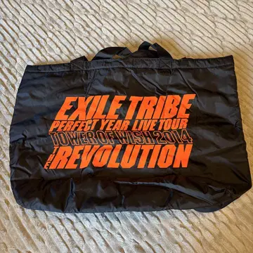 EXILE TRIBE PERFECT YEAR LIVE TOUR 백