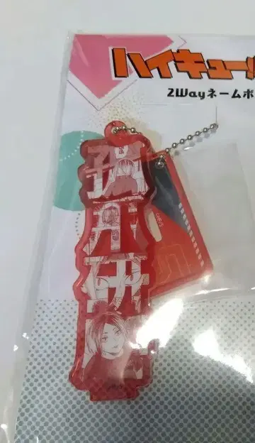 연마 네임 보드 팬 파크 하이큐