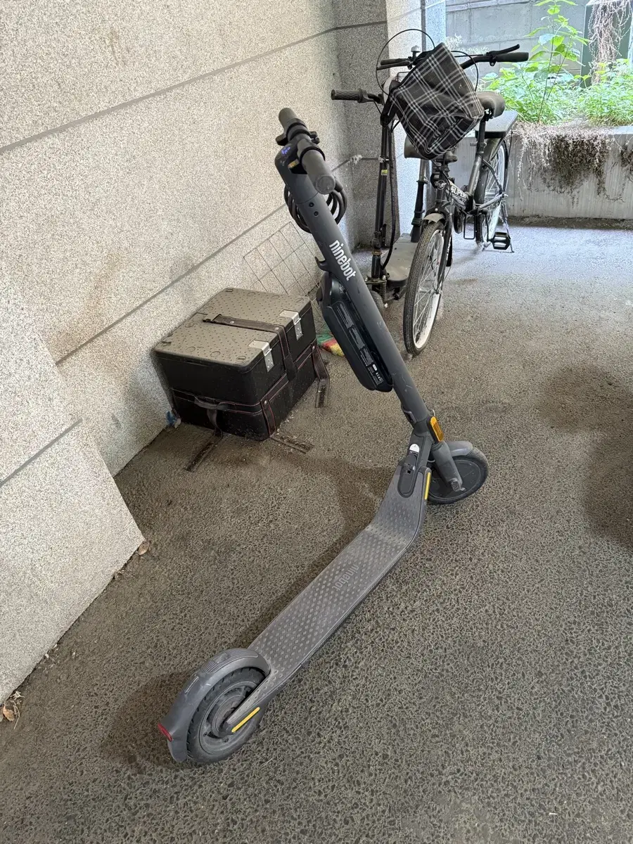 Ninebot E25 Kickboard (with Extended Battery)