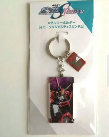 기동전사 건담 SEED DESTINY FREEDOM 아스란 아크링 키링